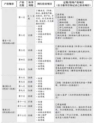 孕期系统b超(产检it是什么项目) 第1张 孕期系统b超(产检it是什么项目) 第1张