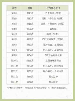 孕期系统b超(产检it是什么项目) 第3张 孕期系统b超(产检it是什么项目) 第3张