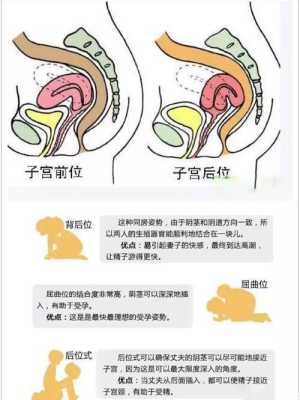孕期性生活的姿势(孕36周胎儿在子宫姿势是怎样的?快足月了,怎样产检合适呢) 第1张 孕期性生活的姿势(孕36周胎儿在子宫姿势是怎样的?快足月了,怎样产检合适呢) 第1张
