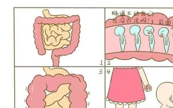 胎儿肠气(胎儿肠气干扰是怎么回事) 第1张 胎儿肠气(胎儿肠气干扰是怎么回事) 第1张