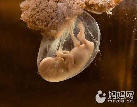羊水污染对宝宝有什么影响,羊水浑浊对胎儿的影响有多大 第1张 羊水污染对宝宝有什么影响,羊水浑浊对胎儿的影响有多大 第1张