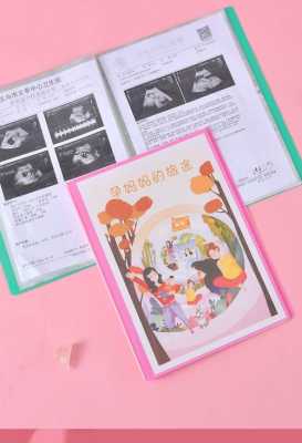 怀孕需要办理哪些证件,孕期资料册要买多少页的 第2张 怀孕需要办理哪些证件,孕期资料册要买多少页的 第2张