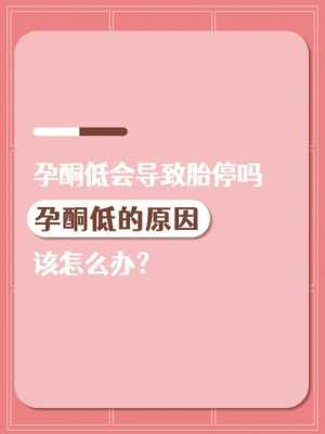 孕酮低会导致胚胎停育吗,早孕孕酮低会影响胎儿发育吗 第1张 孕酮低会导致胚胎停育吗,早孕孕酮低会影响胎儿发育吗 第1张
