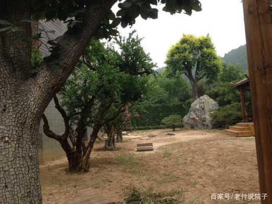 孕期动土(正月里能在院里栽树吗) 第2张 孕期动土(正月里能在院里栽树吗) 第2张