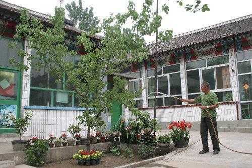 孕期动土(正月里能在院里栽树吗) 第3张 孕期动土(正月里能在院里栽树吗) 第3张