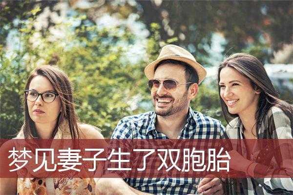 孕妇梦见生双胞胎儿子(孕妇梦见生双胞胎儿子是什么预兆) 第2张 孕妇梦见生双胞胎儿子(孕妇梦见生双胞胎儿子是什么预兆) 第2张