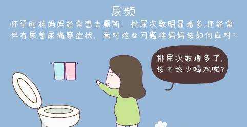 怀孕期间尿频是怎么回事,孕期严重尿频怎么办 第1张 怀孕期间尿频是怎么回事,孕期严重尿频怎么办 第1张