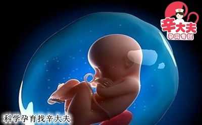 孕期胎儿缺氧(孕期胎儿缺氧孕妇有什么症状) 第2张 孕期胎儿缺氧(孕期胎儿缺氧孕妇有什么症状) 第2张