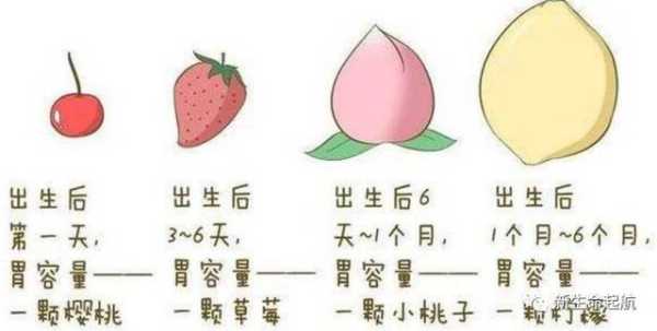 胎儿在胃里吗(哺乳期妈妈消化不好,宝宝也会有影响吗) 第2张 胎儿在胃里吗(哺乳期妈妈消化不好,宝宝也会有影响吗) 第2张