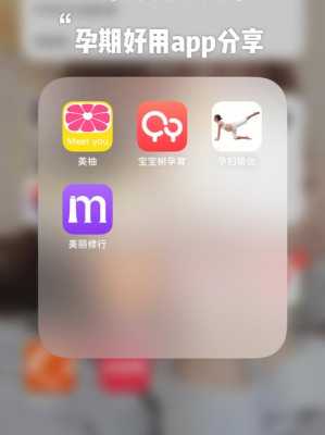 好的孕期软件(比较好的孕期软件) 第2张 好的孕期软件(比较好的孕期软件) 第2张