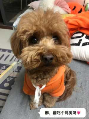 狗狗怀孕六十天还没生,今天吃了两个鸡腿桃子没红肿,狗孕期吃什么好 第2张 狗狗怀孕六十天还没生,今天吃了两个鸡腿桃子没红肿,狗孕期吃什么好 第2张