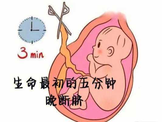 孕期贫血能顺产吗(孕期贫血能顺产吗女性) 第2张 孕期贫血能顺产吗(孕期贫血能顺产吗女性) 第2张