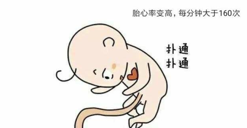 什么情况会导致胎儿缺氧(什么情况下胎儿会缺氧) 第1张 什么情况会导致胎儿缺氧(什么情况下胎儿会缺氧) 第1张