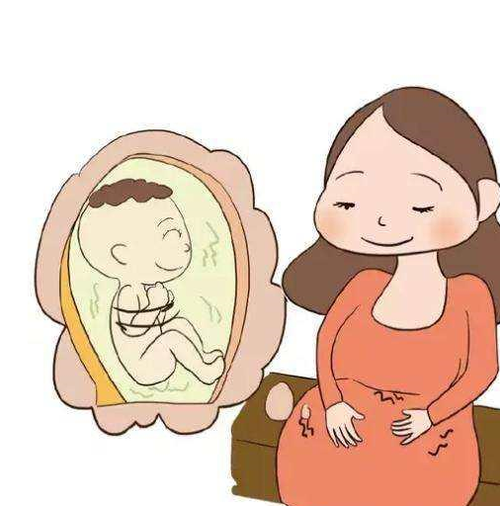 胎儿听到巨响（胎儿听到巨响会吓到吗）  第3张