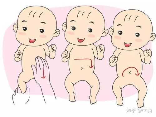 刚到6个月的宝宝为什么喜欢拱屁屁,胎儿拱肚子是在干什么 第2张 刚到6个月的宝宝为什么喜欢拱屁屁,胎儿拱肚子是在干什么 第2张
