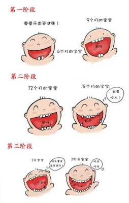 胎儿就长牙(婴儿何时长牙) 第3张 胎儿就长牙(婴儿何时长牙) 第3张