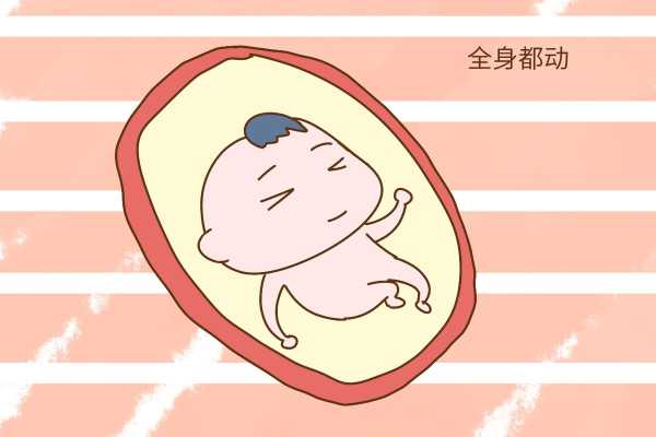 胎儿动个不停(胎儿动个不停) 第1张 胎儿动个不停(胎儿动个不停) 第1张
