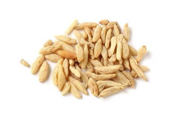 麦冬孕期(麦冬孕期) 第2张 麦冬孕期(麦冬孕期) 第2张
