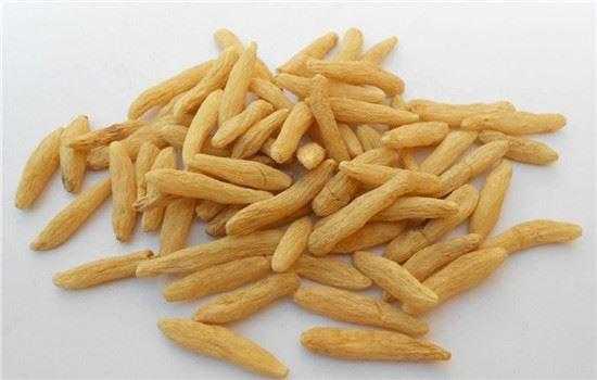 麦冬孕期(麦冬孕期) 第1张 麦冬孕期(麦冬孕期) 第1张