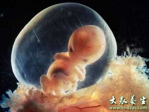 怀孕39周怎么知道男女呢?可以用什么方法查呢?b超可以吗,孕期看清一个男人的人品 第1张 怀孕39周怎么知道男女呢?可以用什么方法查呢?b超可以吗,孕期看清一个男人的人品 第1张