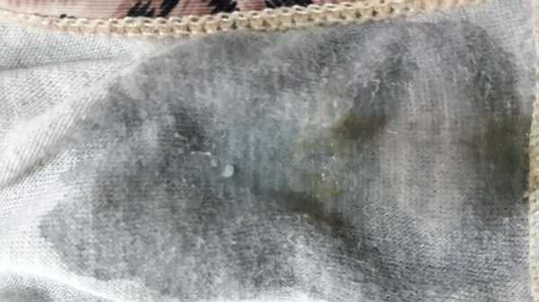 孕期下面臭(怀孕下边臭) 第2张 孕期下面臭(怀孕下边臭) 第2张