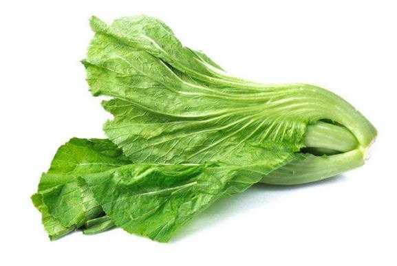 10个月宝宝可以吃芥菜吗,孕期吃芥菜好吗 第3张 10个月宝宝可以吃芥菜吗,孕期吃芥菜好吗 第3张