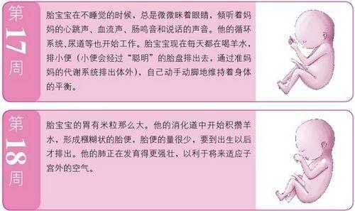 胎儿几个月开始有听力(胎儿几个月开始有听力了吗) 第3张 胎儿几个月开始有听力(胎儿几个月开始有听力了吗) 第3张