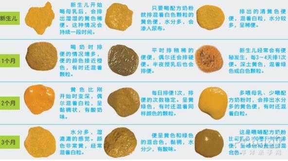 孕妇一天大便几次正常？为什么孕妇经常会大便不正常啊,孕期老是大便出血怎么办  第2张