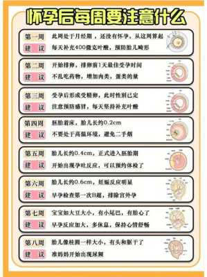 孕期全知道(孕期全知道) 第2张 孕期全知道(孕期全知道) 第2张