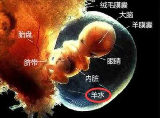 羊水偏多对胎儿有影响吗,羊水多对胎儿有什么影响吗 第2张 羊水偏多对胎儿有影响吗,羊水多对胎儿有什么影响吗 第2张