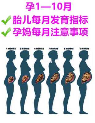 两个月的宝宝的腹围的标准值是多少啊,两个多月的胎儿有多大图片 第3张 两个月的宝宝的腹围的标准值是多少啊,两个多月的胎儿有多大图片 第3张