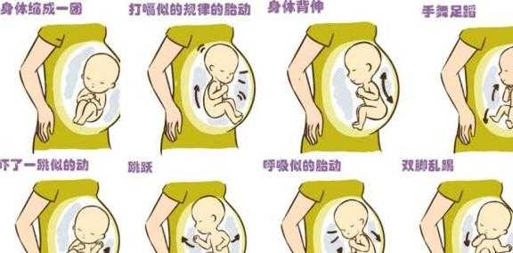 怀孕32周,老感觉肚子里咚咚咚咚的响,像心跳一样。怎么回事,胎动是咚咚咚的正常吗 第1张 怀孕32周,老感觉肚子里咚咚咚咚的响,像心跳一样。怎么回事,胎动是咚咚咚的正常吗 第1张