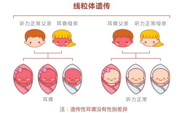 胎儿几个月有听力,孕期胎儿听力基因筛查什么时候做 第1张 胎儿几个月有听力,孕期胎儿听力基因筛查什么时候做 第1张