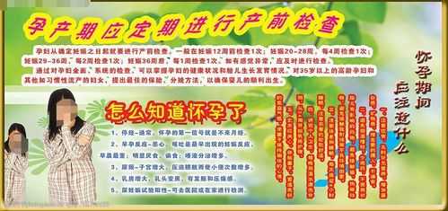 孕期产前检查(孕期产前检查假) 第2张 孕期产前检查(孕期产前检查假) 第2张