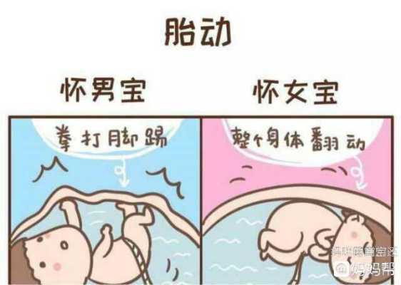 胎儿头大腿短是男孩吗(胎儿头大腿短是男孩吗) 第1张 胎儿头大腿短是男孩吗(胎儿头大腿短是男孩吗) 第1张