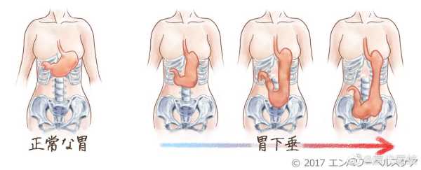 胎儿顶着胃(胎儿顶着胃难受怎么办) 第2张 胎儿顶着胃(胎儿顶着胃难受怎么办) 第2张