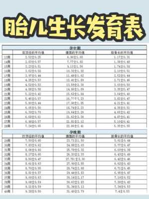 胎儿标准尺寸(婴儿脖围尺寸) 第3张 胎儿标准尺寸(婴儿脖围尺寸) 第3张