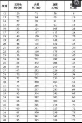 胎儿标准尺寸(婴儿脖围尺寸) 第2张 胎儿标准尺寸(婴儿脖围尺寸) 第2张