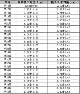 胎儿标准尺寸(婴儿脖围尺寸) 第1张 胎儿标准尺寸(婴儿脖围尺寸) 第1张