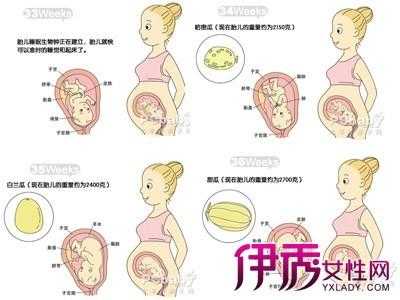 如何知道胎儿是否入盆(如何知道胎儿是否入盆了) 第1张 如何知道胎儿是否入盆(如何知道胎儿是否入盆了) 第1张