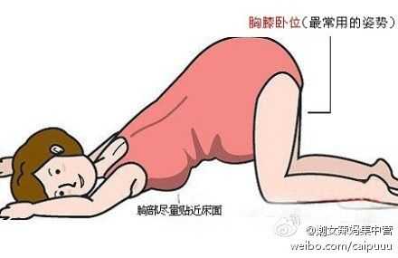 竹鼠摸胎位的正确手法,胎儿踢膀胱是什么胎位图片 第1张 竹鼠摸胎位的正确手法,胎儿踢膀胱是什么胎位图片 第1张