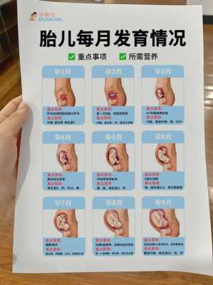 怀孕29周胎儿发育情况（怀孕29周胎儿发育情况吃什么有营养）  第1张