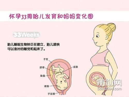 孕33周胎儿偏小三周怎么办,怀孕33周胎儿发育情况图片 第2张 孕33周胎儿偏小三周怎么办,怀孕33周胎儿发育情况图片 第2张