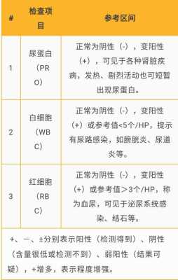 孕期尿常规检查(孕期尿常规检查需要空腹吗) 第2张 孕期尿常规检查(孕期尿常规检查需要空腹吗) 第2张