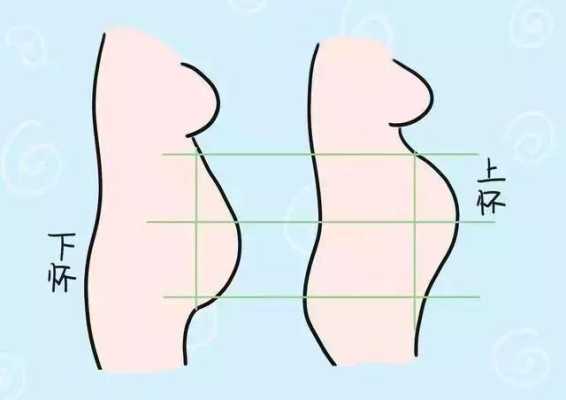 上怀和下怀由什么决定?需要注意什么,胎儿下怀的原因有哪些 第2张 上怀和下怀由什么决定?需要注意什么,胎儿下怀的原因有哪些 第2张