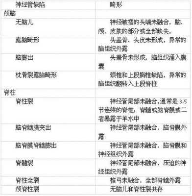检查胎儿畸形最佳时间(检查胎儿畸形最佳时间是多久) 第1张 检查胎儿畸形最佳时间(检查胎儿畸形最佳时间是多久) 第1张