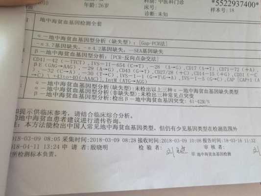 孕妇地中海贫血检查有哪些,孕期地中海贫血有什么影响 第1张 孕妇地中海贫血检查有哪些,孕期地中海贫血有什么影响 第1张