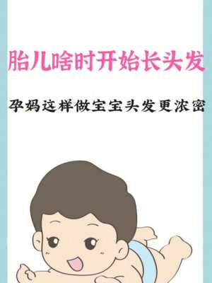 胎儿头发什么时候开始长(胎儿头发什么时候开始长的快) 第2张 胎儿头发什么时候开始长(胎儿头发什么时候开始长的快) 第2张