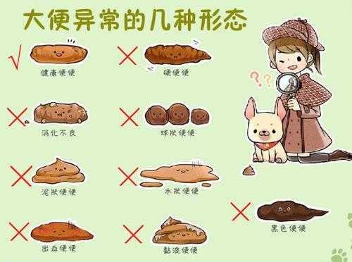 孕期大便不成形比较稀(怀孕期间大便不通畅) 第2张 孕期大便不成形比较稀(怀孕期间大便不通畅) 第2张