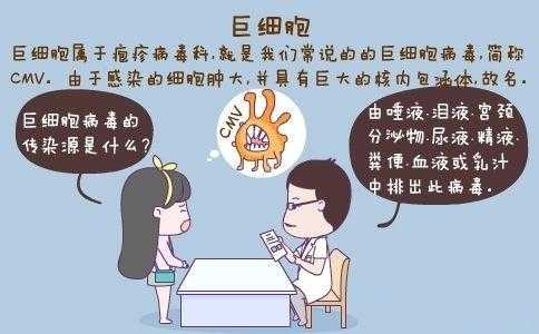 孕期巨细胞病毒感染(孕期巨细胞病毒感染小孩子能要吗) 第1张 孕期巨细胞病毒感染(孕期巨细胞病毒感染小孩子能要吗) 第1张